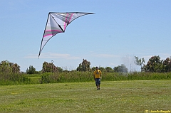 Venice kite festival_0079